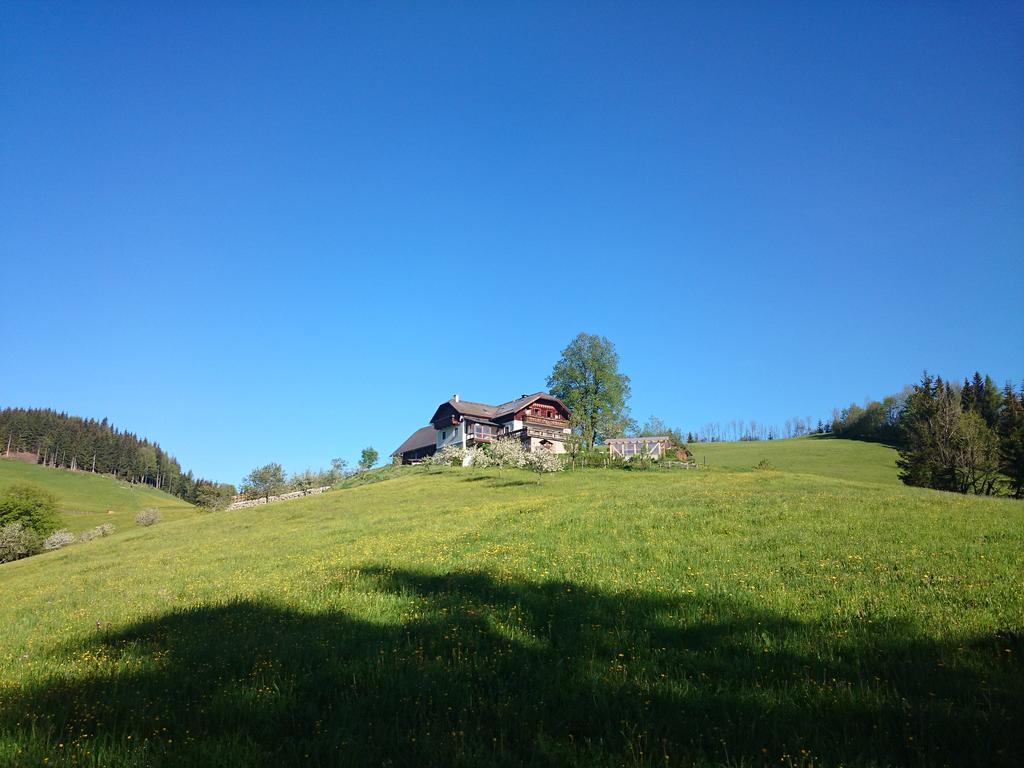 Bio-Bauernhof Kurzeck Villa Göstling an der Ybbs Eksteriør billede